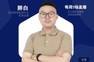 【捐赠29.9[红包]·《Z5031-FatBai-跨境亚马逊高阶选品》】 【原版无水印】