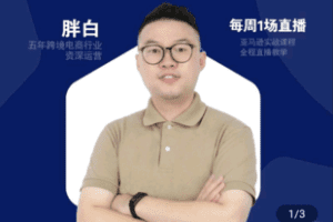 【捐赠29.9[红包]·《Z5031-FatBai-跨境亚马逊高阶选品》】 【原版无水印】