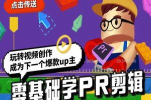 【捐赠19.9[红包]·《Sir电影私塾-零基础学Pr剪辑，轻松成为下一个爆款Up主》】