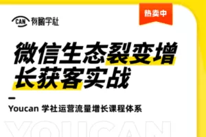 【捐赠16.9[红包]·《有瞰学社-【微信生态裂变增长获客实战】》】