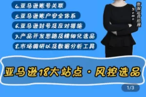 【捐赠19.9[红包]·《Z5032-Nemo-亚马逊18大站点·风控选品》】 【原版无水印】