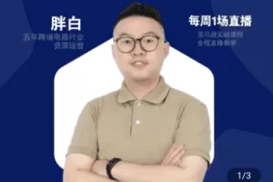 【捐赠29.9[红包]·《Z5033-FatBai-亚马逊高阶广告推广实操》】 【原版无水印】