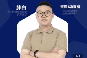 【捐赠29.9[红包]·《Z5033-FatBai-亚马逊高阶广告推广实操》】 【原版无水印】