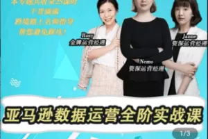 【捐赠29.9[红包]·《Z5034-Nemo-亚马逊数据运营全阶实战课》】 【原版无水印】