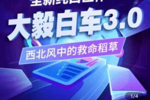 【捐赠39.9[红包]·《Z5037-大毅电商-白搜3-2022年纯白巨作》】 【原版无水印】
