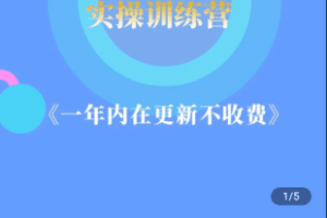 【捐赠89.9[红包]·《Z5043-豆多多商学院-拼多多实操特训营（4合1）》】 【原版无水印】