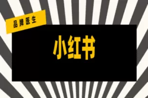 【捐赠19.9[红包]·《品牌医生-2022年品牌如何稳妥有体系的进行小红书投放？》】
