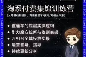 【捐赠39.9[红包]·《Z5078-寒兵淘系付费玩法课程全实操（直通车+引力魔方+万相台）》】 【原版无水印】