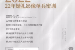 【捐赠29.9[红包]·《Z5219-22年婚礼影像单兵密训》】 【原版无水印】