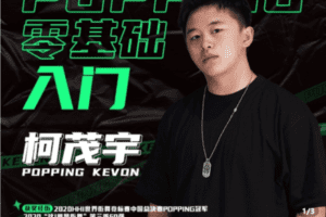 【捐赠19.9[红包]·《Z5222-零基础POPPING入门教程》】 【原版无水印】