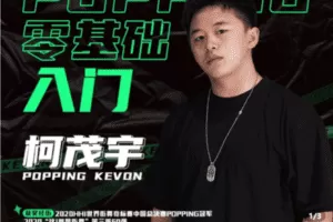 【捐赠19.9[红包]·《Z5222-零基础POPPING入门教程》】 【原版无水印】