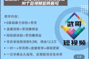 【捐赠69.9[红包]·《Z5047-武老师短视频：剪辑-涨粉-带货教学》】 【原版无水印】