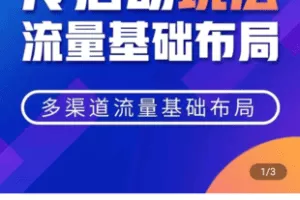 【捐赠39.9[红包]·《Z5066-PDD冷启动破除强付费流量系列玩法课【飞翔】》】 【原版无水印】