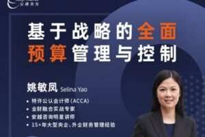【捐赠39.9[红包]·《安越咨询-基于战略的全面预算管理与控制》】