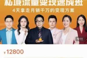 【捐赠49[红包]·《D0172-桔子会·私域流量变现速成班》】