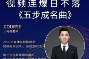 【捐赠29.9[红包]·《D0174-小马哥视频连爆日不落直播间》】