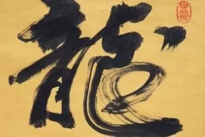 【捐赠49.9[红包]·《Z0119-龙妖战法心髓-龙妖战法阐秘-下》】