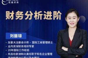 【捐赠26.9[红包]·《安越咨询-财务分析进阶》】
