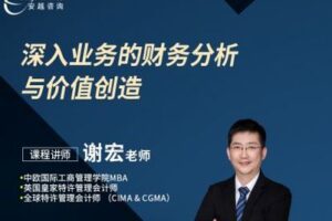 【捐赠39.9[红包]·《Z0188-安越咨询-深入业务的财务分析与价值创造》】