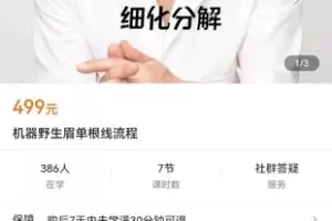 【捐赠19.9[红包]·《学浪-机器野生眉单根线流程》】