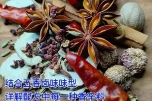 【捐赠99.9[红包]·《Z5690-失落大厨-商用五香卤味配方 香辛料讲解》】 【原版无水印】