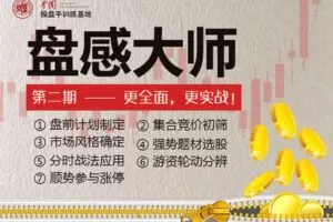 【捐赠89.9[红包]·《Z7267-复旦求是操盘手训练基地-《盘感大师》第二期》】
