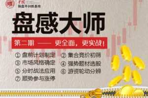 【捐赠89.9[红包]·《Z7267-复旦求是操盘手训练基地-《盘感大师》第二期》】