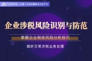 【捐赠19.9[红包]·《Z0251-代友商学院-企业涉税风险识别与防范》】