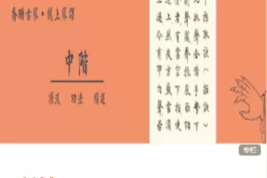 【捐赠132.0[红包]·《Z7409-乔珊古琴艺术全阶系列4《中阶功法》》】