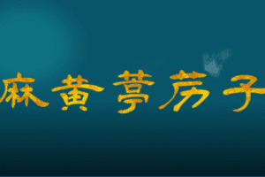 【捐赠6.9[红包]·《Z6365-qz-药对百讲-麻黄葶苈子的作用机制功能原理，及临床应用》】