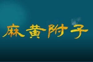 【捐赠9.9[红包]·《Z6373-qz-药对百讲第65讲：麻黄附子配对的临床应用》】