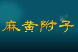 【捐赠9.9[红包]·《Z6373-qz-药对百讲第65讲：麻黄附子配对的临床应用》】