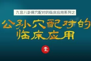 【捐赠9.9[红包]·《Z6375-qz-九宫八卦择穴配对之公孙穴配对的临床应用》】
