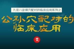 【捐赠9.9[红包]·《Z6375-qz-九宫八卦择穴配对之公孙穴配对的临床应用》】