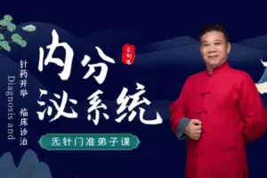 【捐赠199.9[红包]·《Z6484-qz-针药并举对内分泌系统疾病的诊治》】