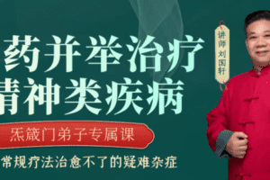 【捐赠199.9[红包]·《Z6489-qz-针药并举对精神类疾病的临床证治》】