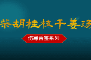 【捐赠19.9[红包]·《Z6490-qz-伤寒舌鉴之柴胡桂枝干姜汤》】