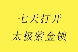 【捐赠9.9[红包]·《Z4916-谢明太极课堂-初级课零基础七天打开太极紫金锁自己开锁不求人永久收看》】