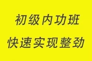 【捐赠139.9[红包]·《Z4923-谢明太极课堂-系统内功课初级内功班零基础会太极整劲开肩胯脊椎无极桩浑圆桩（含微信教学群）》】