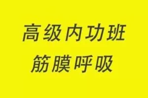 【捐赠199.9[红包]·《Z4924-谢明太极课堂-系统内功课高级内功班筋膜呼吸全身大丹田》】
