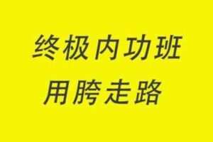 【捐赠199.9[红包]·《Z4925-谢明太极课堂-系统内功课|终级内功班 用胯走路 行住坐卧皆太极 练成本能》】