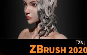 周达学Zbrush2020入门教程