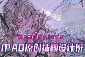 【DeadPrince】大触来了 ipad原创插画设计班第一期2021年1月【画质高清只有视频】