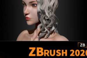 周达学Zbrush2020入门教程【画质还行只有视频】