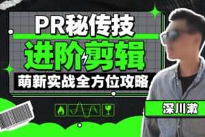 PR秘传技进阶剪辑的全方位攻略2021年12月【画质不错有素材】