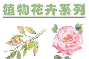 【缺课】吴小迪2022水彩植物花卉美食系统课【画质高清只有视频】