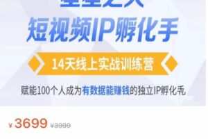 瑶瑶·自然流短视频IP孵化第二期，14天线上实战训练营，赋能100个人成为有数据能赚钱的独立IP孵化手