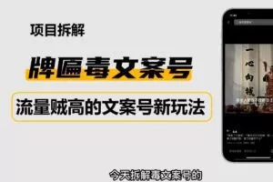 2023抖音快手毒文案新玩法，牌匾文案号，起号快易变现