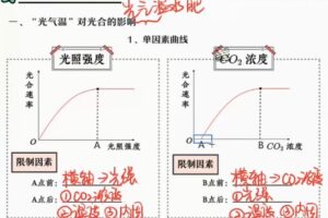 段瑞莹 高三生物2022年寒假尖端班 