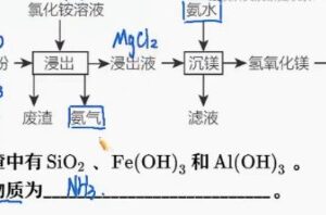 冯琳琳 高三化学2022年寒假尖端班 